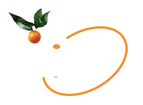 Accueil Vista Partner's